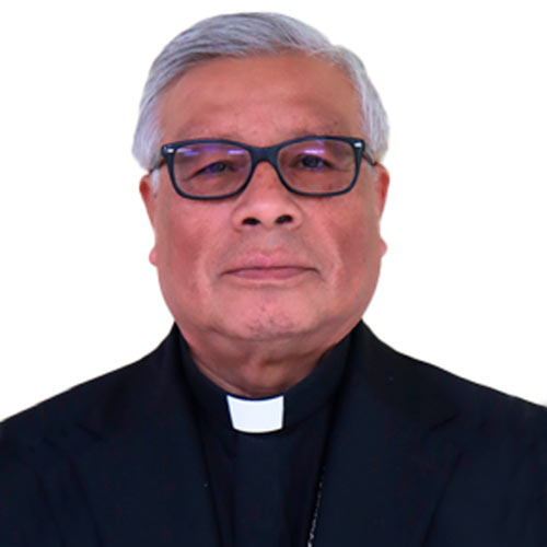 Galer&iacute;a de Sacerdotes en Nuestras Peregrinaciones